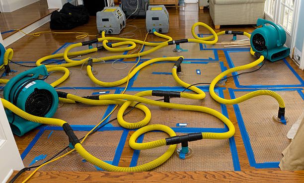 Professional Water Damage Repair technician working in Danville, PA